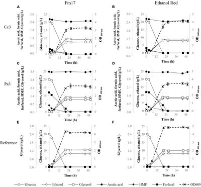 Selection of Superior Yeast Strains for the Fermentation of Lignocellulosic Steam-Exploded Residues